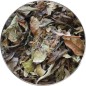 Thé Blanc Pai Mu Tan LOMATEA VRAC 70g Thé Blanc Pai Mu Tan LOMATEA VRAC 70g