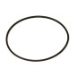 O-ring em conjunto 0530-15 Saeco Gaggia Philips 140328960 /9965300135777 O-ring em conjunto 0530-15 Saeco Gaggia Philips 140328960 /9965300135777