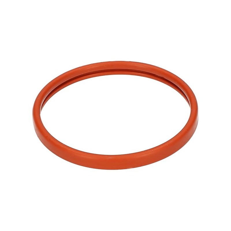 Filtertür Siegel 55 mm 145847762 /996530015878 Filtertür Siegel 55 mm 145847762 /996530015878