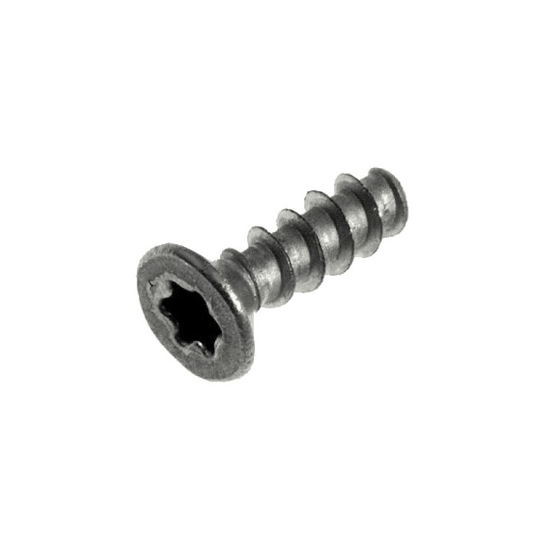 Vis TSP TORX 10 3X10 PLAST.SS 12000895 / 996530007951 Vis TSP TORX 10 3X10 PLAST.SS 12000895 / 996530007951