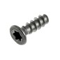 TSP Torx Vite 10 3x10 Plast.SS 12000895 /996530007951 TSP Torx Vite 10 3x10 Plast.SS 12000895 /996530007951
