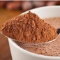 VANHOUTEN Chocolat chaud en dosette individuelle VH6 - Boite de 100 sachets 23g VANHOUTEN Chocolat chaud en dosette individuelle VH6 - Boite de 100 sachets 23g