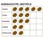 Café Grain Pure Origin Nicaragua Maragogype 250 G Mapalga Café Grain Pure Origin Nicaragua Maragogype 250 G Mapalga