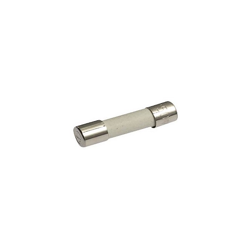Fusible temporisé T8A 250V 5x20 Sable 996530025955 Fusible temporisé T8A 250V 5x20 Sable 996530025955