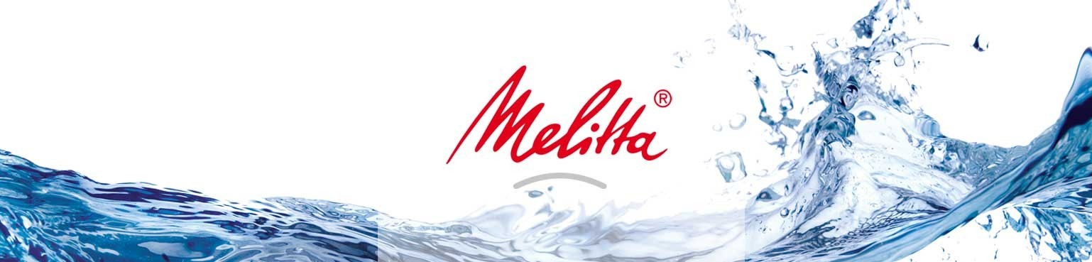 METLTA interview