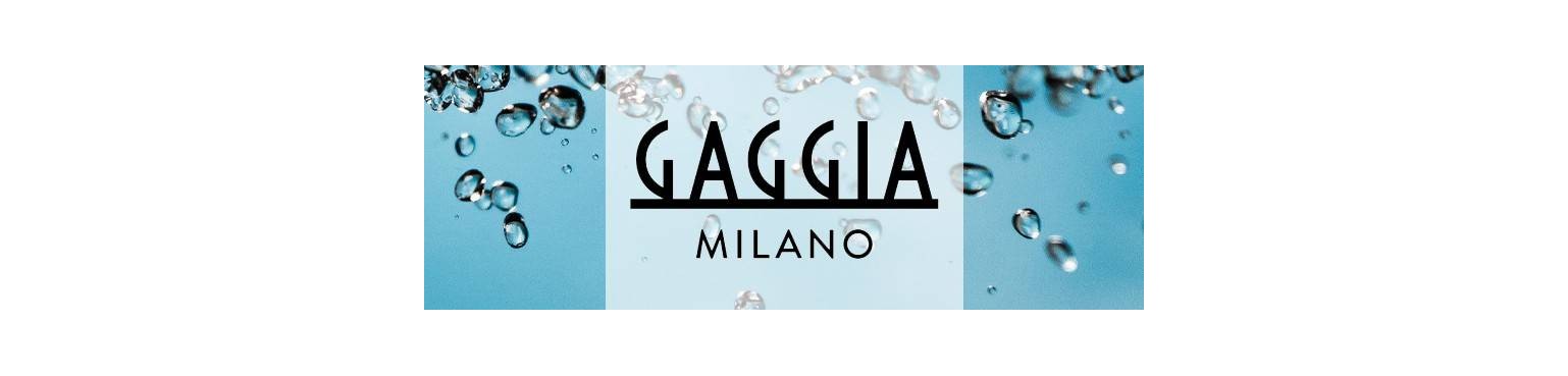 Gaggia descaling