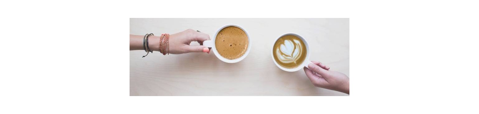 Discover our wide choice of containers for your hot drinks