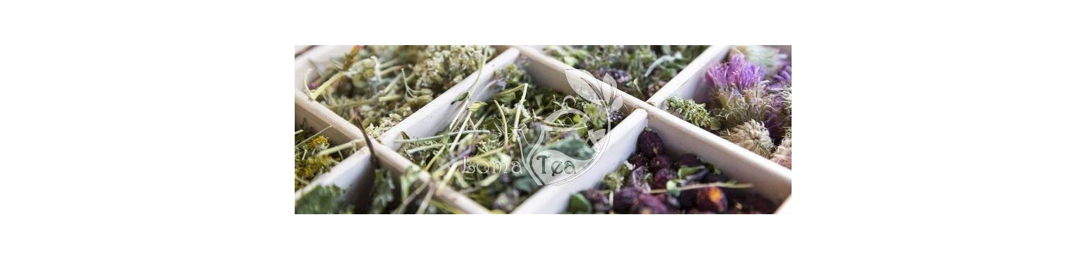 INFUSIONS