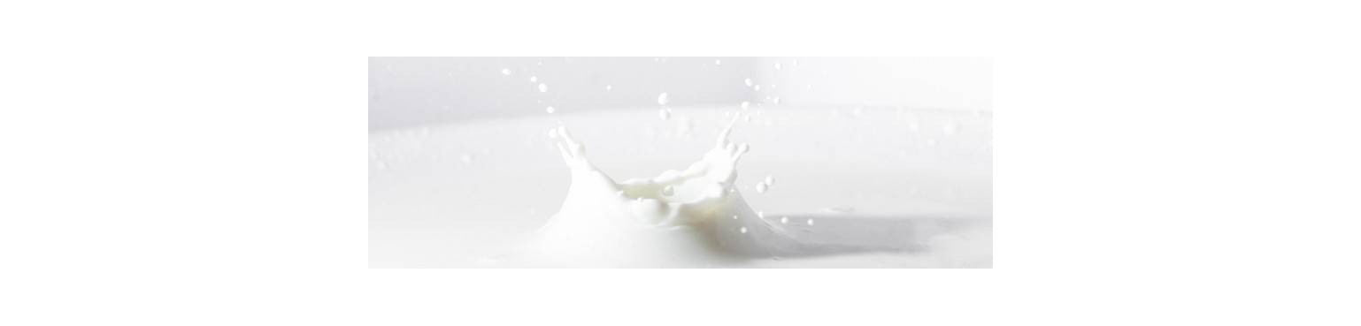 LAIT POUDRE
