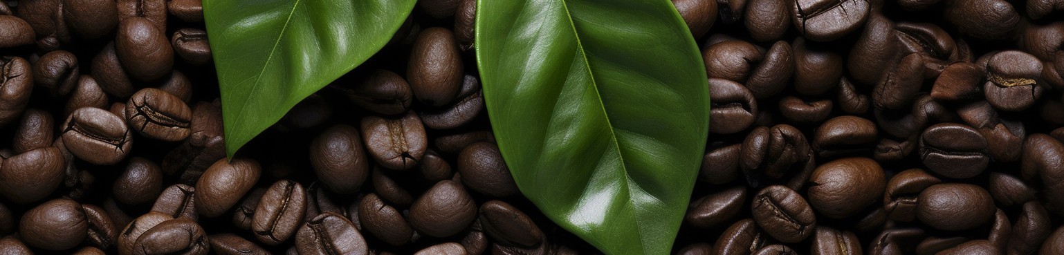 Cafés Bio / équitables