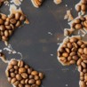 Café de pure origine