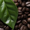 Cafés Bio / équitables